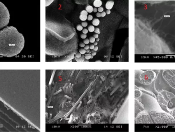 A grid of six scanning electron microscope images showing particles, fibres, and surface textures at magnifications from 200x to 45,000x