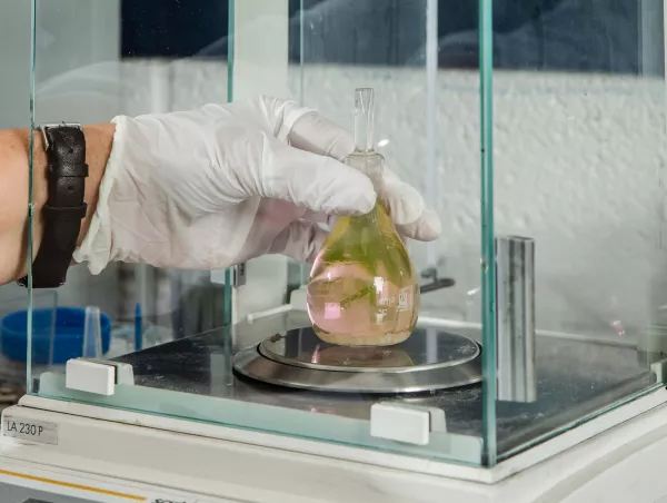 A gloved hand places a liquid-filled density flask onto a Sartorius analytical balance