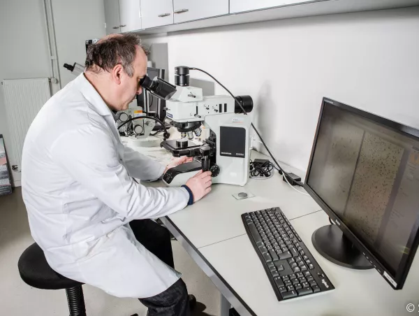 A material expert examines a metal sample's microstructure through an Olympus BX53M microscope, with the micrograph displayed on screen