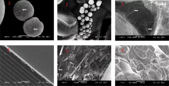 A grid of six scanning electron microscope images showing particles, fibres, and surface textures at magnifications from 200x to 45,000x
