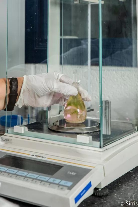 A gloved hand places a liquid-filled density flask onto a Sartorius analytical balance